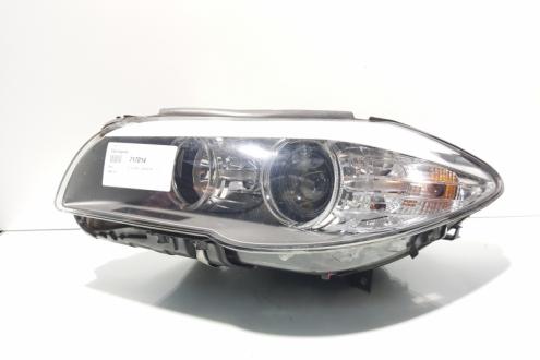 Far stang cu lupa, Bmw 5 (F10) (id:717014)