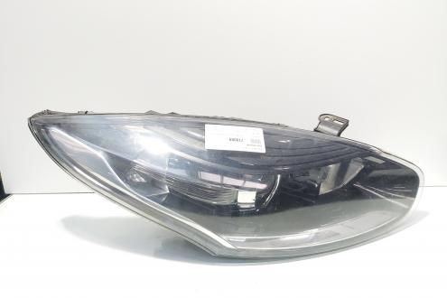 Far dreapta cu lupa, Renault Megane 3 vol pe dreapta (id:718009)