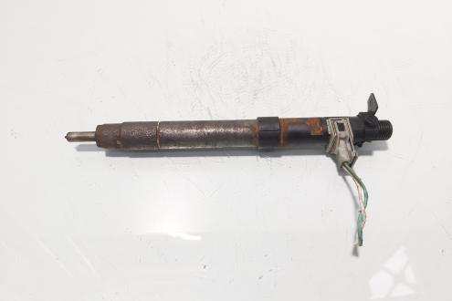 Injector, cod 9686191080, EMBR00101D, Ford Galaxy 2 2.0 TDCI, UFWA (id:718283)