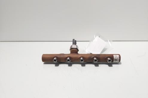 Rampa injectoare cu senzor Delphi, cod 8200669695, Renault Clio 3 1.5 DCI, K9K770 (id:703546)