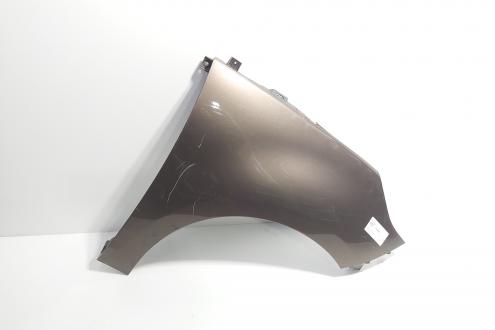Aripa dreapta fata, Renault Scenic 3 (id:719729)