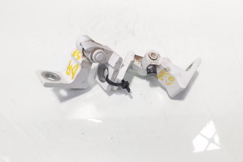 Set balamale usa dreapta spate, VW Polo (6R) (id:719947)