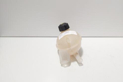 Vas expansiune, cod 217107259R, Renault Captur 1.5 DCI, K9K608 (id:720363)