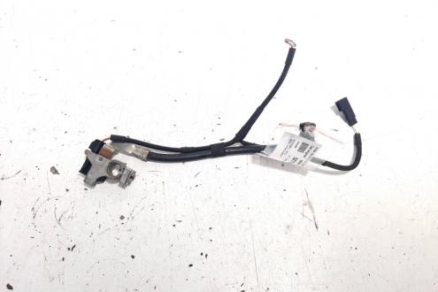 Borna baterie cu capsa, cod AG9N-10C679-DC, Ford S-Max 1 (idi:527785)