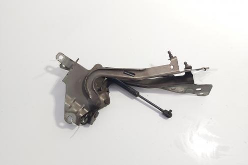 Set balamale capota fata, Renault Grand Scenic 3 (id:721249)