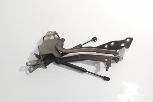 Set balamale capota fata, Renault Grand Scenic 3 (id:721249)