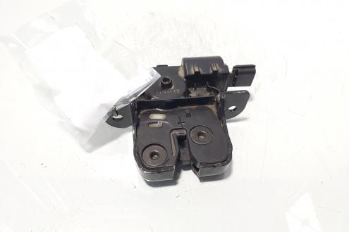 Broasca haion, cod 346300003R, Renault Scenic 3 (idi:721746)