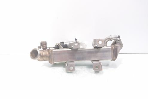 Racitor gaze, cod 8200719993, Renault Koleos 2, 2.0 DCI, M9R868 (id:726845)