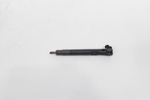 Injector Delphi, cod A6510702887, Mercedes Clasa E (W212) 2.2 CDI, OM651924 (id:732020)