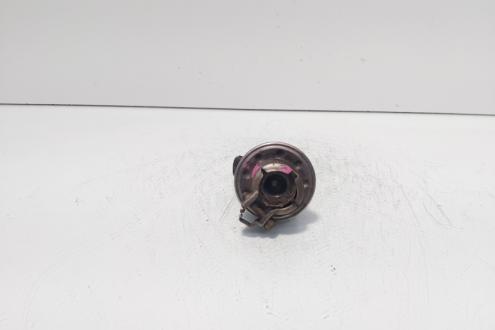 Injector adblue, cod 3C0131113C, Seat Alhambra (710) 2.0 TDI, CFF (idi:731079)
