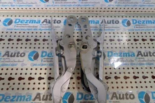 Set balamale capota fata Bmw 3 coupe, 1999-in prezent