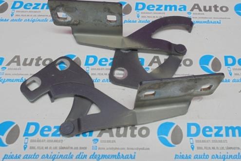 Set balamale capota fata Citroen (id:159018)