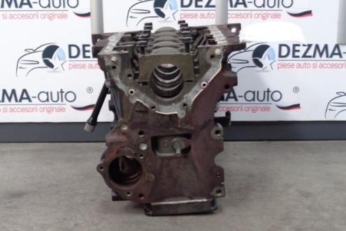 Bloc motor gol BXE, Skoda Octavia 2 (1Z3) 1.9tdi (pr:110747)