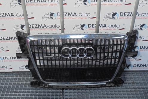 Grila bara fata centrala cu sigla si senzori, 8R0853651, Audi Q5 (8R)