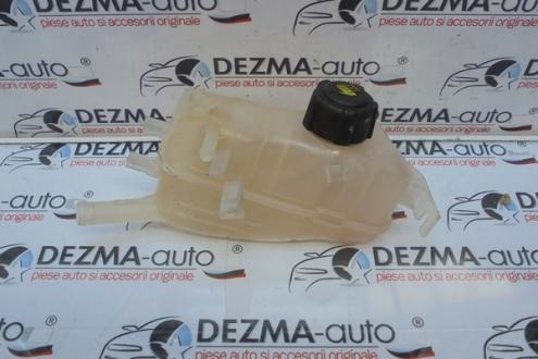 Vas expansiune, 217100005R, Renault Megane 3 combi, 1.5dci
