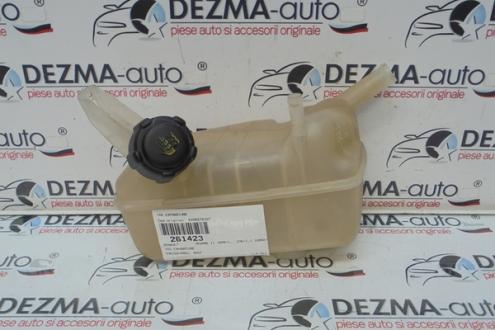 Vas expansiune 8200273157, Renault Megane 2 combi