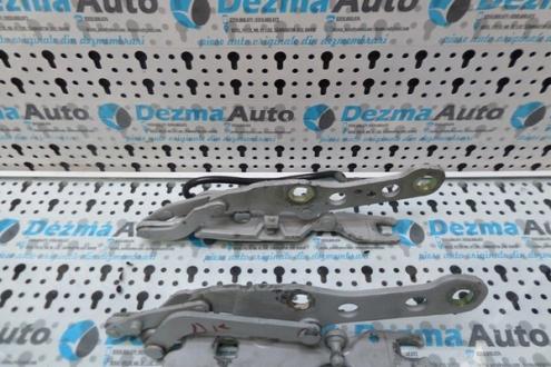 Set balamale capota fata 8200123, Bmw 3 (E46) 1999-2005