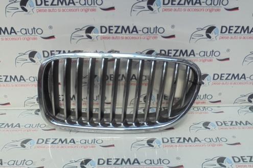 Grila capota fata stanga, Bmw 5 Touring (F11) (id:269897)