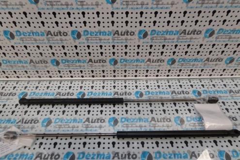 Telescop haion Ford Focus 2, 1.6tdci, G8DB, 4M51- N406A10- AB