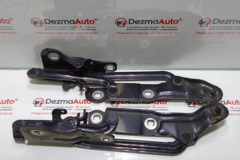 Set balamale capota spate 7S71-F42701-AD, Ford Mondeo 4 sedan (id:301386)