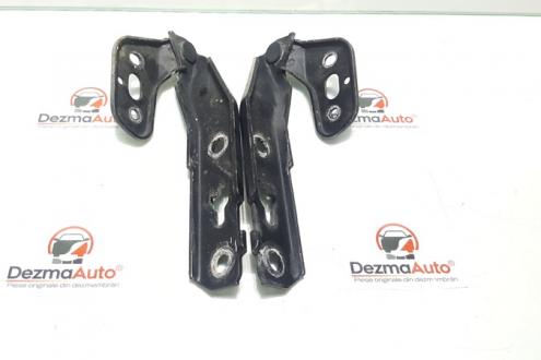 Set balamale capota fata, Audi A6 Avant (4F5, C6) (id:330600)