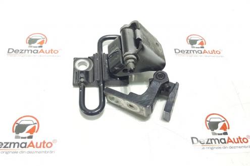 Set balamale dreapta fata, Audi A6 Avant (4F5, C6) (id:330543)