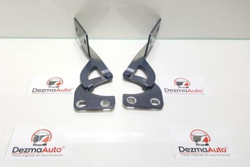 Set balamale capota fata, Citroen Berlingo 1 (id:159018)