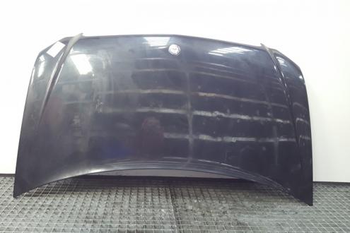 Capota fata, Mercedes Vito Autobus (W639)