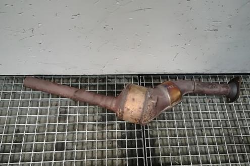 Catalizator 8200410493, Renault Clio 3, 1.2b (id:345495)