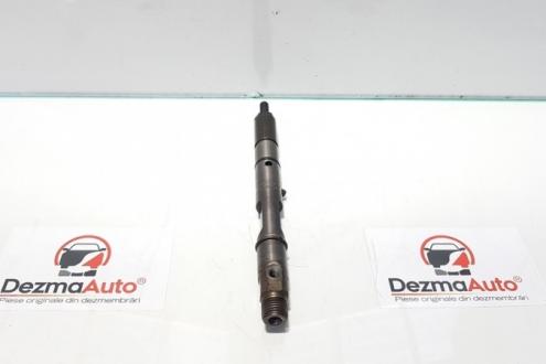 Injector, Audi A4 Avant (8ED, B7) 2.5 tdi, cod 059130201F