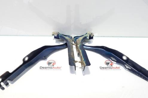 Set balamale capota fata, Peugeot 207 SW