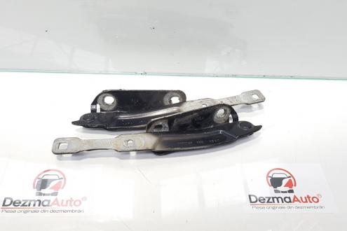 Set balamale capota fata, Dacia Logan 2