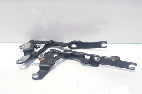 Set balamale capota fata, Bmw 3 Touring (E91)