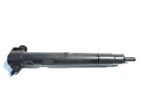 Injector, Mercedes Clasa E (W212), 2.2 cdi, OM651924, A651700587 (id:383486)