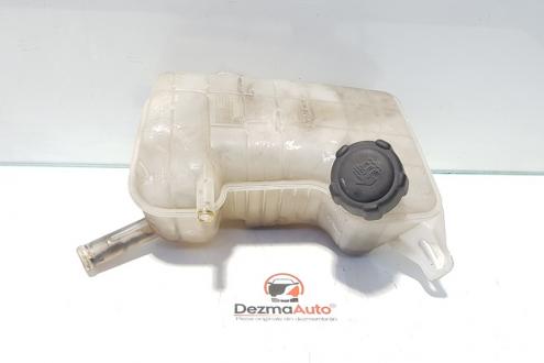 Vas expansiune, Renault Scenic 2, 8200262036B