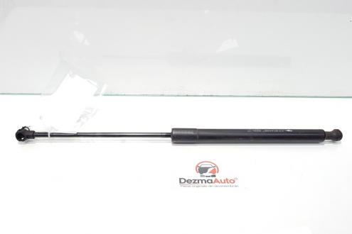 Telescop haion, Citroen C3 (II) [Fabr 2009-2016] 9683733980 (id:411651)