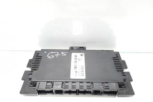 Modul control lumini, Bmw 3 (E90) [Fabr 2005-2011] 2,0 benz, N43B20A, 9166708