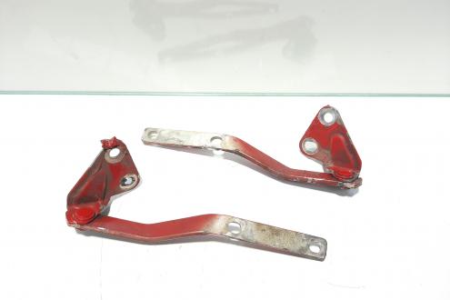 Set balamale capota fata,  Skoda Octavia 1 Combi (1U5) [Fabr 1998-2010]