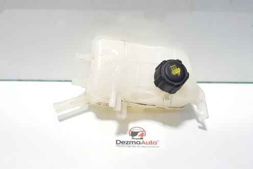 Vas expansiune, Renault Megane 3, cod 217100005R