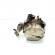 Pompa vacuum, cod GM55268135, Fiat Punto (199) 1.3 M-jet, 199B1000 (id:518201)