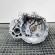 Cutie de viteza manuala, Suzuki SX4, 1.6 VVT, M16A, 5 vit man (id:522924)