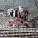 Turbosuflanta, cod 03G253014M, VW Golf 5 Variant (1K5), 1.9 TDI, BLS (idi:616206)