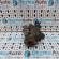 Pompa servo directie, 1J0422154D, Seat Cordoba Vario (6K5) 1.9tdi, ASK