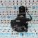 Broasca dreapta fata 3B2837016T, Seat Toledo 2 (1M2) 1999-2006