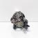 Pompa inalta presiune, cod 8980924670, Opel Meriva B, 1.7 CDTI, A17DTC (idi:649477)
