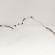 Conducta clima cu senzor, cod 3C0820741A, Vw Passat Variant (3C5) 2.0 TDI, BKP (id:501906)