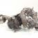 Turbosuflanta Biturbo, cod A6510902880, A6510905780, Mercedes Clasa C T-Model (S204), 2.2 CDI, OM651912 (id:652262)