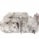 Baie ulei, cod GM55194355, Opel Astra H GTC, 1.9 CDTI, Z19DTH (idi:657419)