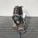 Motor, cod AWX, Skoda Superb I (3U4), 1.9 TDI, AWX (id:659183)
