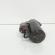 Electromotor, VW Lupo (6X1, 6E1), AKU, 5 vit man (id:659920)